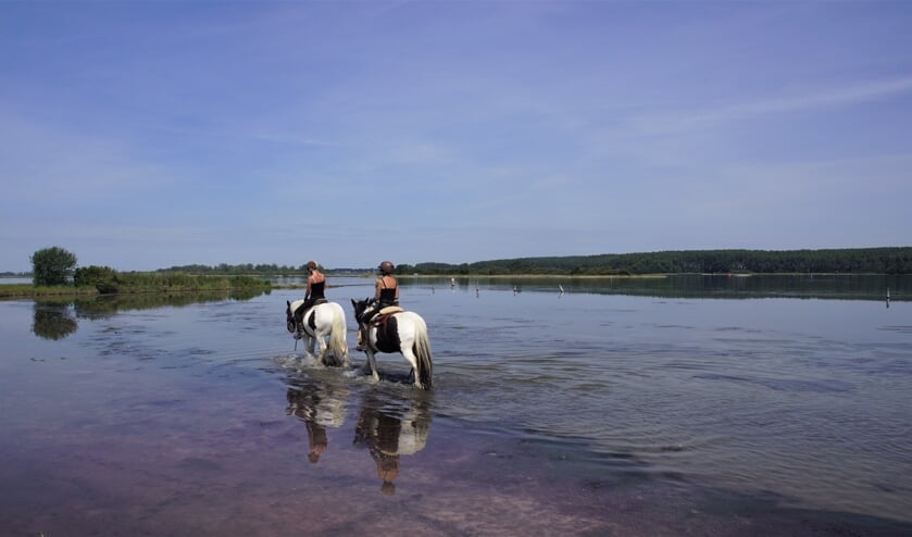 In Goes is het water nooit ver weg
