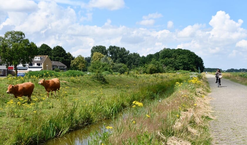 Na wisselvallige en koele zomer is ook kans op warme nazomer in september klein