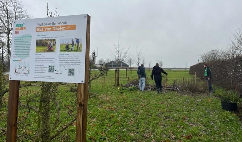 Boompjes en struiken inleveren of meenemen?: Het kan vandaag bij de bomenhub