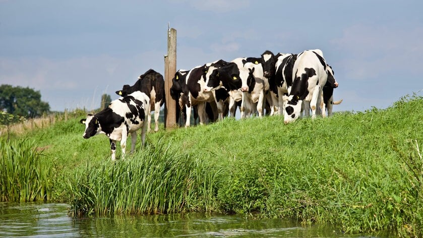 Start van BoerenPerspectief Zeeland voor 150 agrarische ondernemers