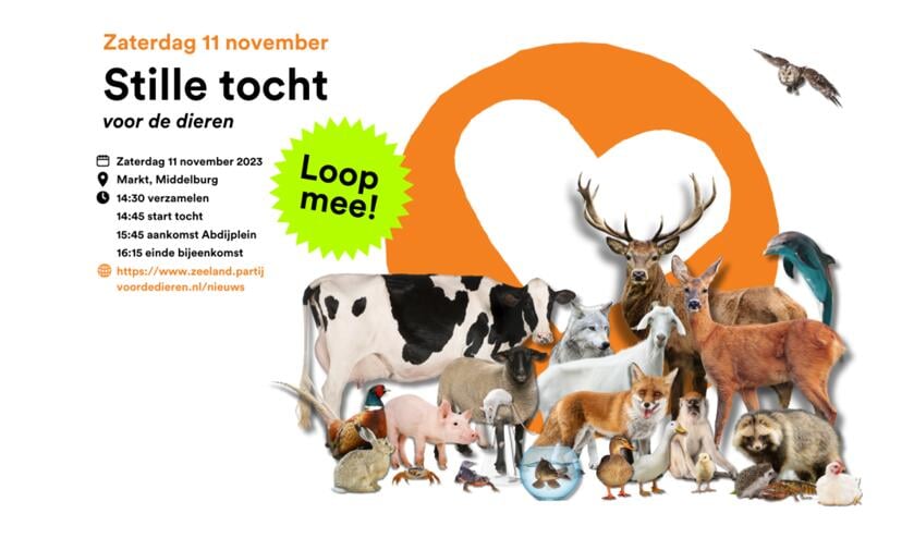 Partij voor de Dieren Zeeland organiseert stille tocht in Middelburg