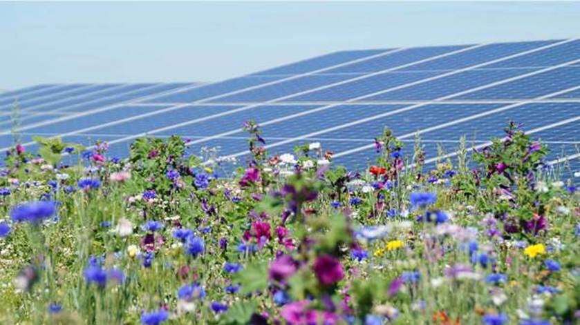 Zeeland bereikt bijna driekwart van doelstelling voor duurzame energie
