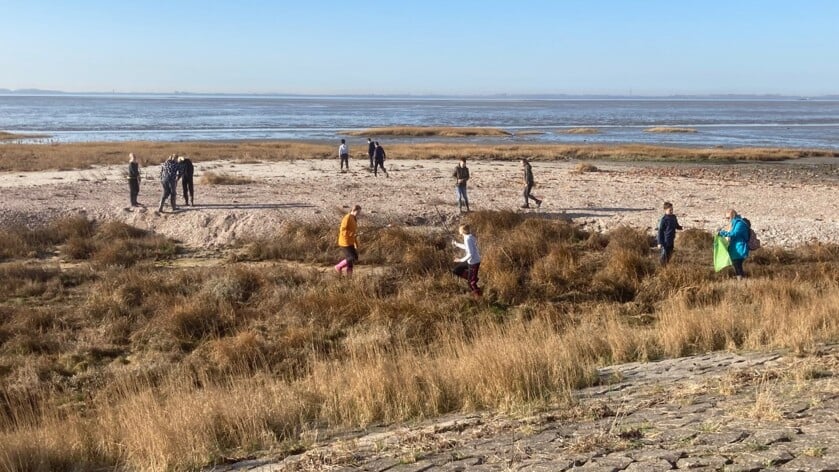 Zeeuwse basisscholen ruimen strandjes op voor broedende plevieren
