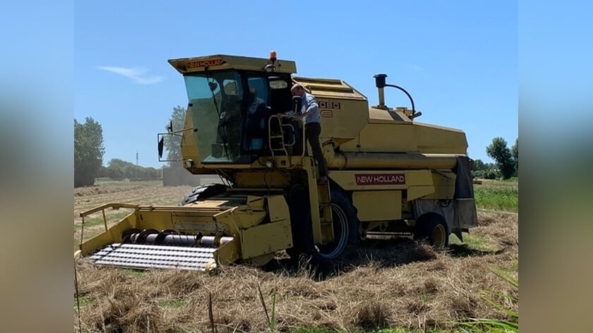 Oogsttijd: boeren kampen met droogte