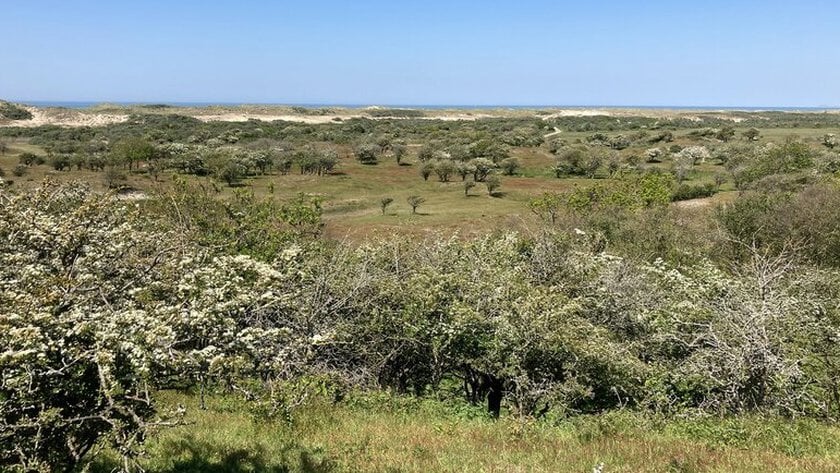 Provincie stelt nieuw Natura 2000-beheerplan vast voor Manteling van Walcheren