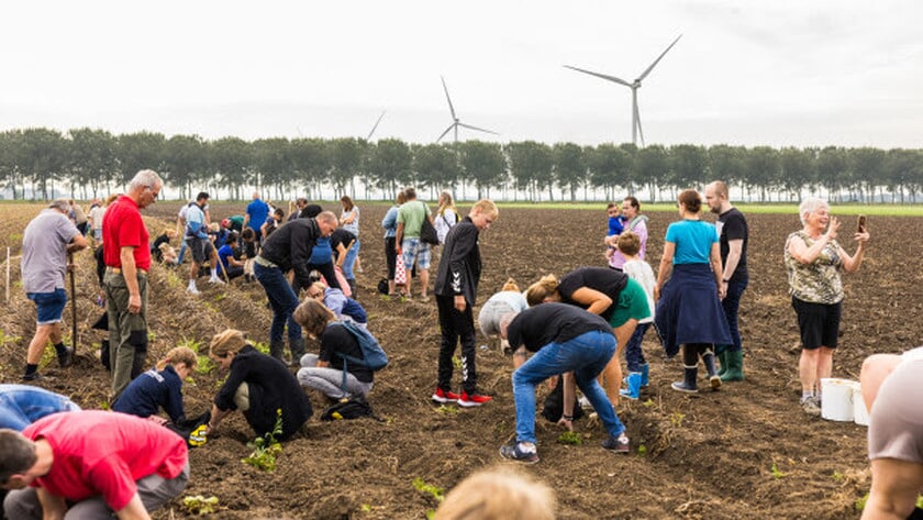 Kooijman Akkerbouw opent het veld tijdens vijfde editie Nationale Aardappelrooidag