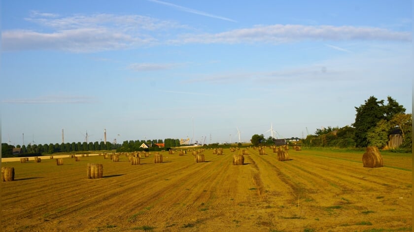Proefboerderij De Rusthoeve ontvangt 180.000 euro subsidie voor biobased teelten