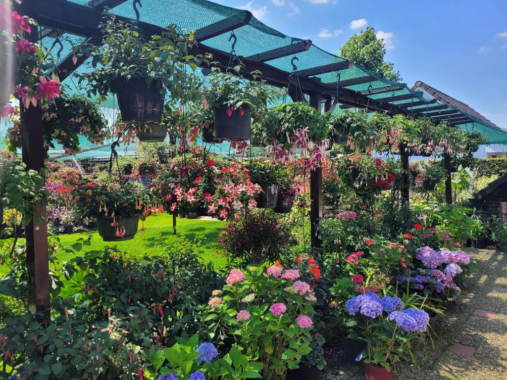 Tuinimpressie
