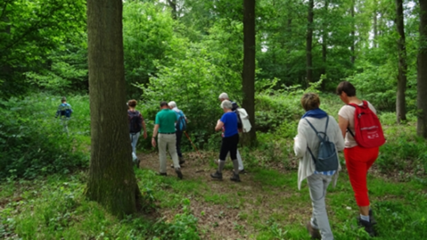 wandelaars bij een eerdere natuurwandeling