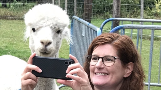 selfie met alpaca