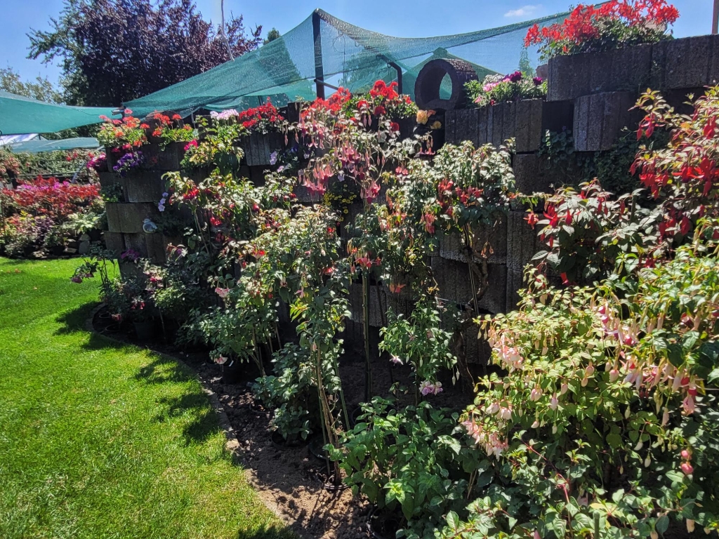 Tuinimpressie