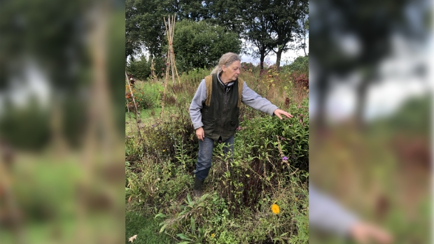 Heleen Lorijn geeft rondleiding in de bloemenpluktuin