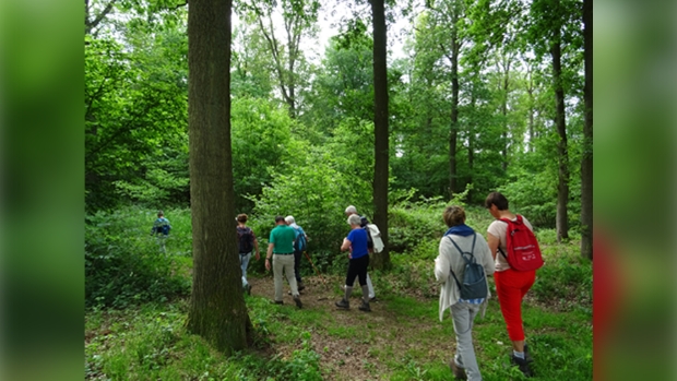 wandelaars bij een eerdere natuurwandeling