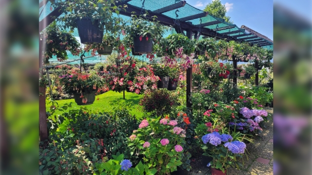 Tuinimpressie