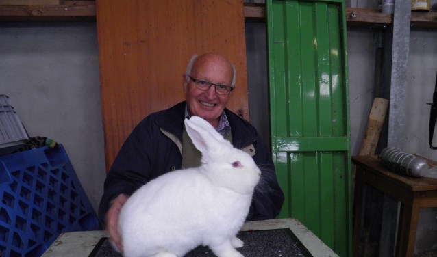 Lammert Blikman uit Ruurlo had het mooiste konijn met een witte Wener Foto: PR.