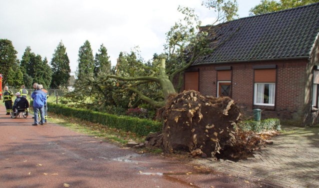 De boom richtte behoorlijke schade aan. Foto: News United/112 Achterhoek-nieuw
