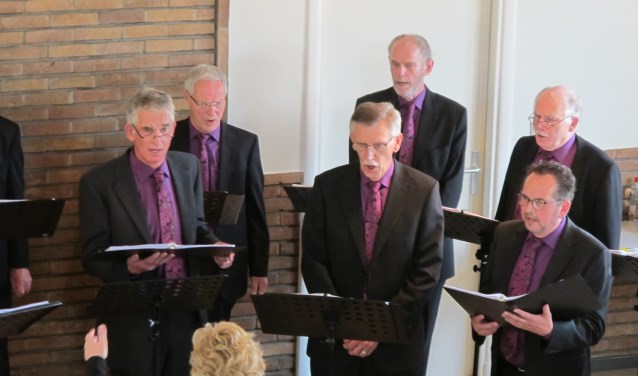 Cantores Versicolores heeft een prachtige sonore klank. Foto: PR