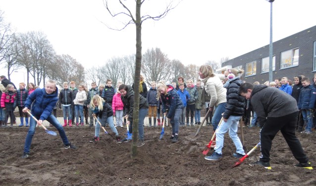 Wethouder Ingrid Lambregts plantte met zes kids van Gaanderwijs een amberboom in de tuin voor de school. Foto: Josée Gruwel