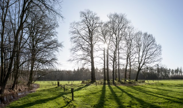 De voor velen onbekende grafheuvel van een van de Van Nispens, aan de rand van Stilli Wald in Wehl. Foto: Hans Hendriks