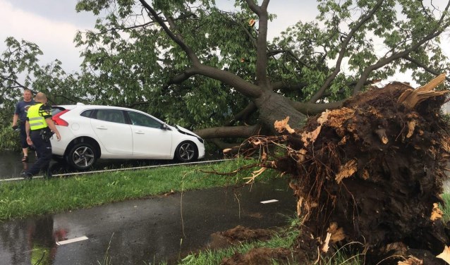 Auto beschadigd door omgevallen boom tijdens noodweer in Hengelo Gld. Foto: PR