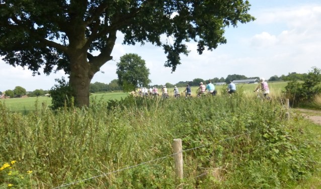 VVV organiseert fietstocht voor alleengaanden. Foto: PR