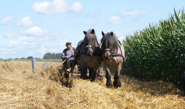 Oogstfeest Voor Boeren, Burgers En Buitenlui | Aaltens Nieuws