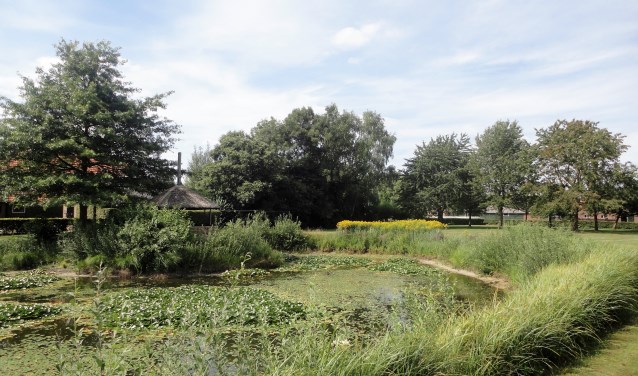 Een vijver op het prachtig aangelegde terrein van de familie Waenink. Foto: PR