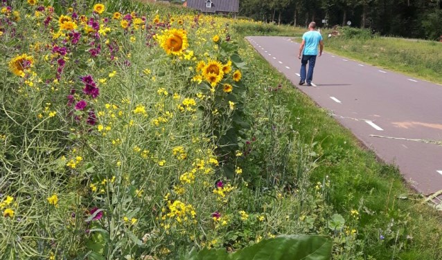 Wandelen langs bloeiende akkerranden. Foto: PR