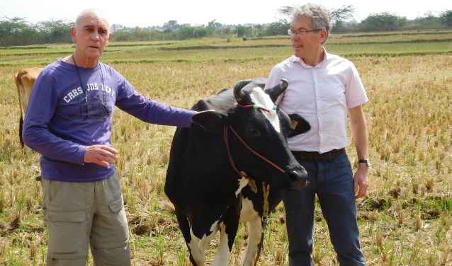 Bestuursleden Hans van 't Hullenaar en Gerard Bodde bij één vd koeien. Foto: PR