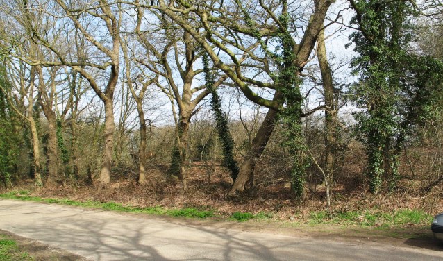Een onverharde weg in Dale. Foto: Bernhard Harfsterkamp