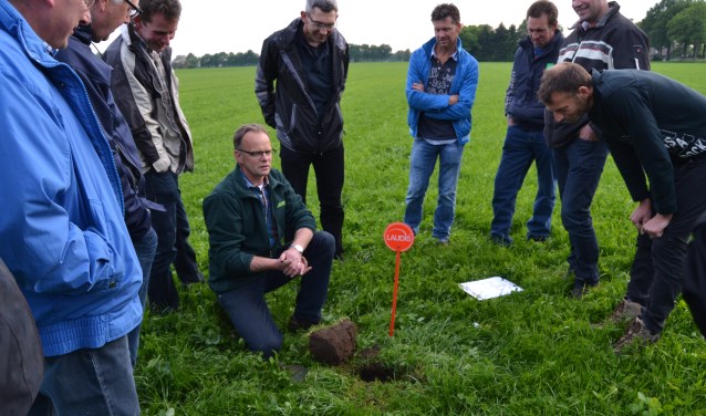 Studie over klaver in de wei. Dit plantje verrijkt de bodem. Foto: Karin Stronks