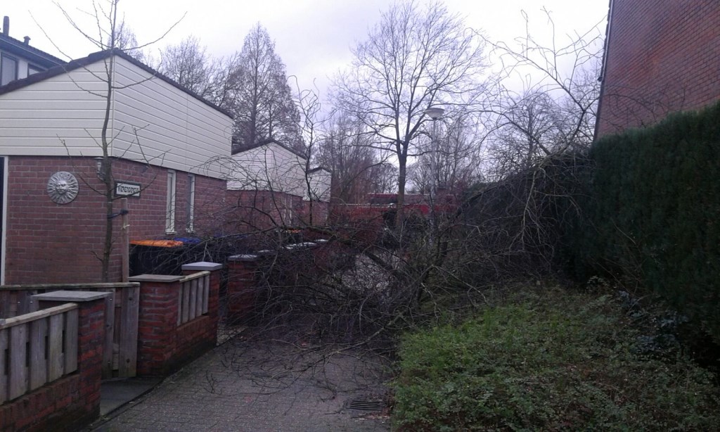 De schade, veroorzaakt door de storm, op de Ruysdaelhof. Foto: Simone van Koot