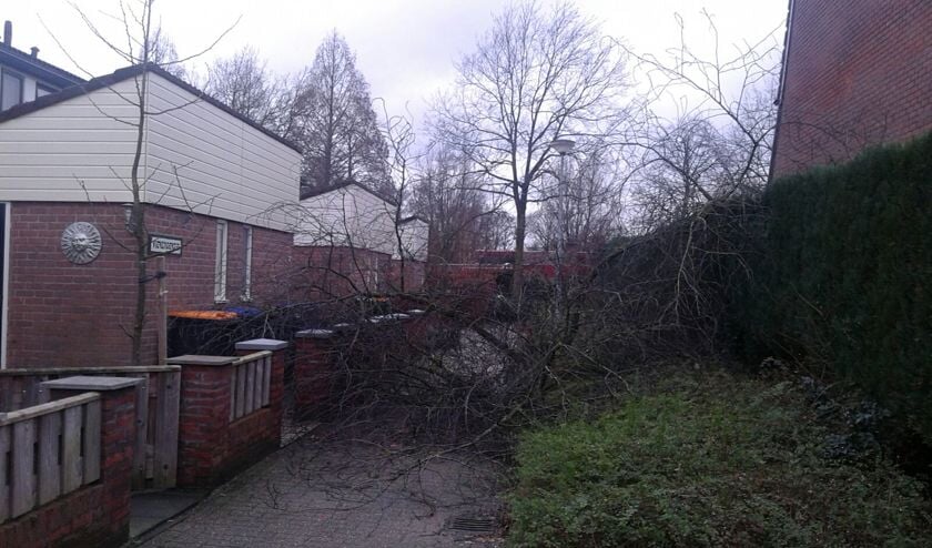 De schade, veroorzaakt door de storm, op de Ruysdaelhof. Foto: Simone van Koot