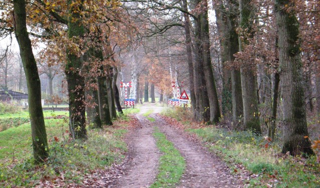 De nog onbewaakte spoorwegovergang in de Greversweg. Foto: Bernhard Harfsterkamp
