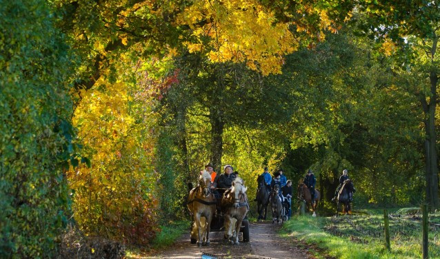 Mooie herfstrit door Aaltense omgeving. Foto: Gerben Olthof