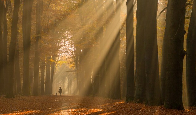 Genieten van de beweging en de natuur in de Slangenburg. Foto: Burry van den Brink