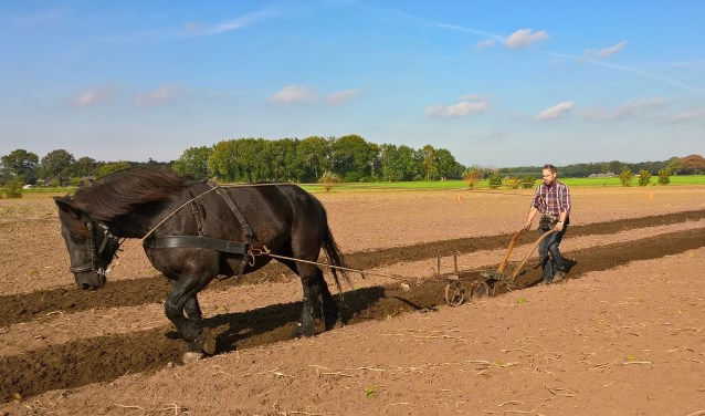 Tijdens het kampioenschap zullen diverse rassen voor de ploeg te zien zijn. Foto: PR