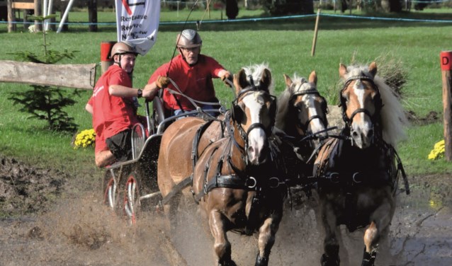 Felix Loeters met haflingers. Foto: Theo Janssen