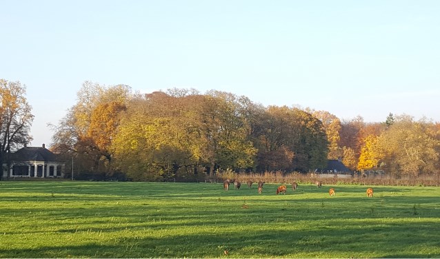 Landgoed 't Meenink. Foto: Aimée van Basten Batenburg