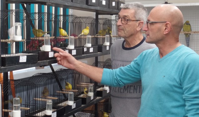 De Ruurlose leden Henk Haakmeester en Hein Blikman (r) bestuderen de Vordense/Ruurlose vogels. Foto: Jan Hendriksen.