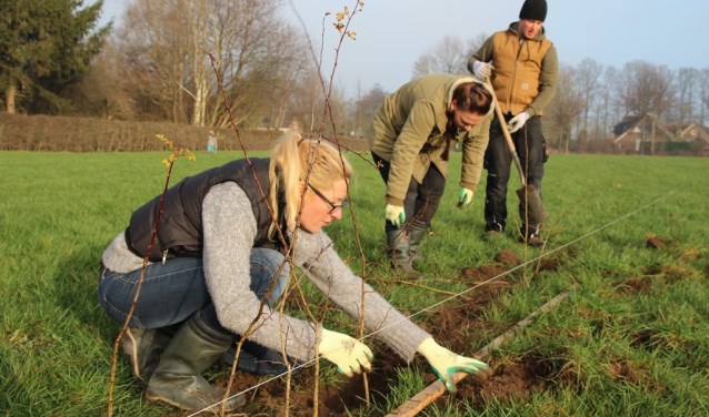 Foto: Stichting Landschapsbeheer Gelderland