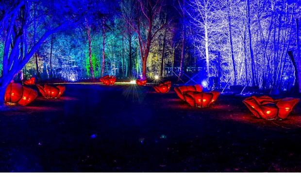 WarmWinterLicht 2018 in Braamt. Foto: Henk van Raaij
