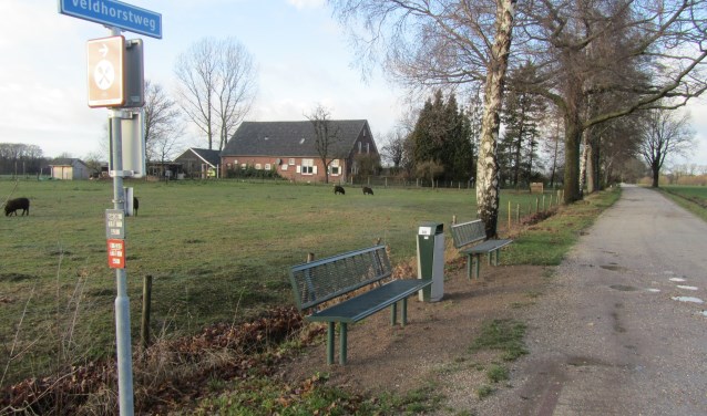 De twee bankjes in het Grote veld. Foto: Bernhard Harfsterkamp