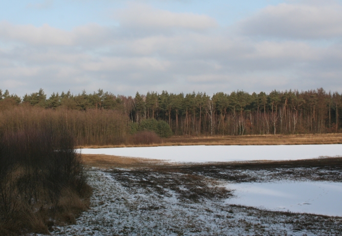 Hagen, rivierduinen en vennen