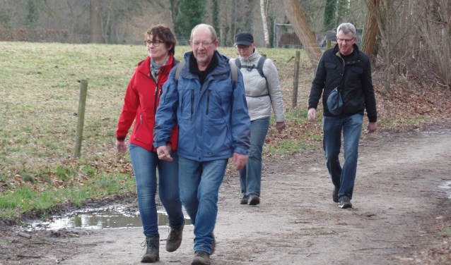 De wandelaars genoten van het prachtige coulisselandschap rondom Ruurlo Foto: Jan Hendriksen.