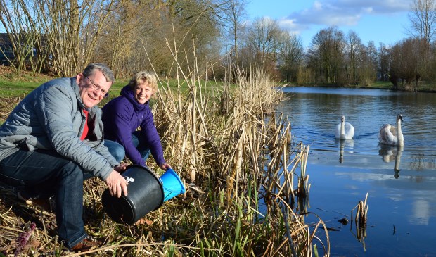 Ton en Irene Zuethof zorgen met de werkgroep dat er jaarlijks zo'n 700 padden naar de overkant van drukke wegen komen. Foto: Alize Hillebrink