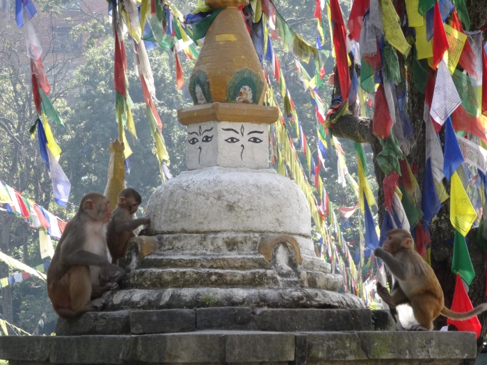 Monkey tempel Kathmandu
