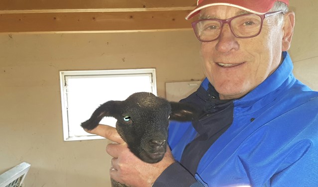 Bennie Klein Tank met het kleine lammetje. foto: Kyra Broshuis
