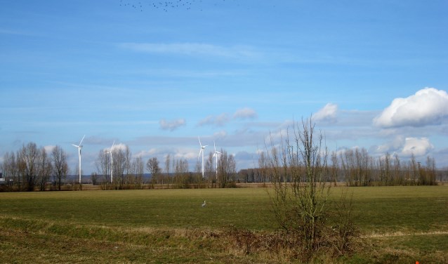 Windmolens: op verschillende plaatsen horen ze al bij het landschap. Foto: Clemens Bielen