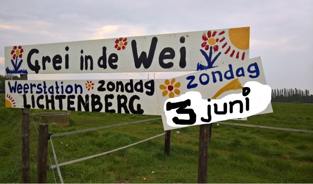 Grei in de Wei bij weerstation Lichtenberg. Foto: PR
